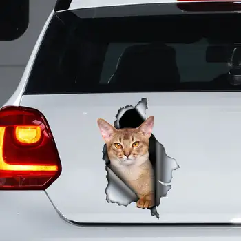 Стикер за автомобил с абисинска котка, магнит от абисинска котка, стикер с абисинска котка
